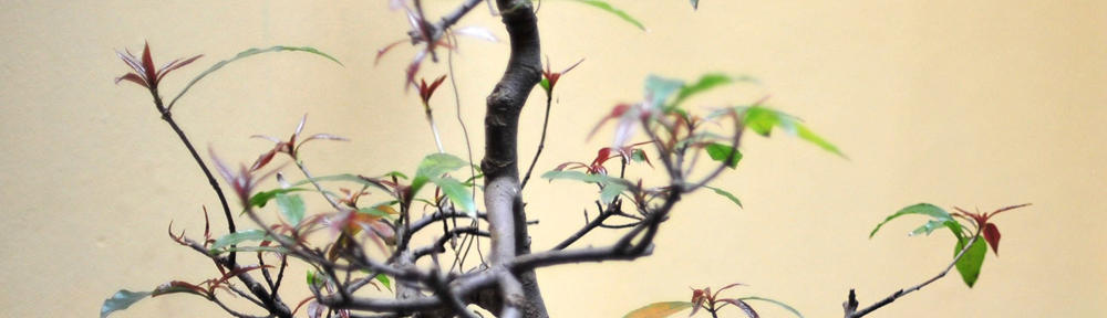 SEO的情報集積地